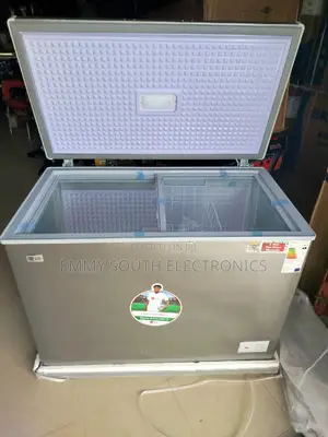 Lg Low Voltage Deep Freeze 500 Lit