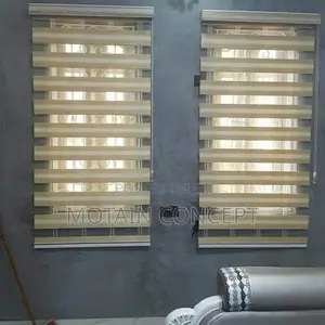 Day and Night Window Blinds