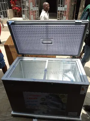 Original Snowsea Freezer 300l With Glass