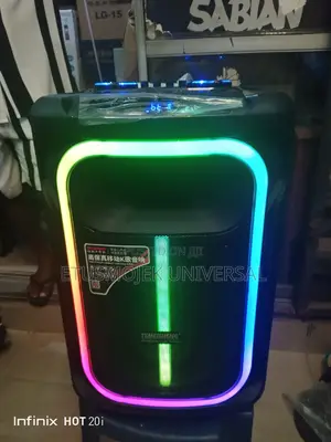 Powerful Temeisheng Rechargeable PA System