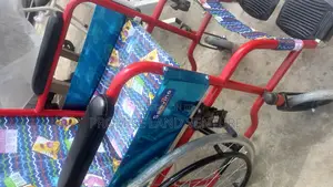 Children Wheelchair