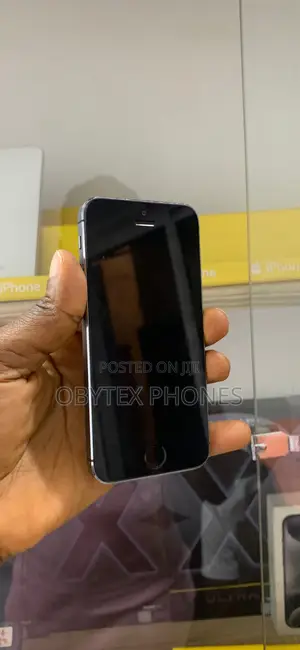 Apple iPhone 5s 64 GB Gray