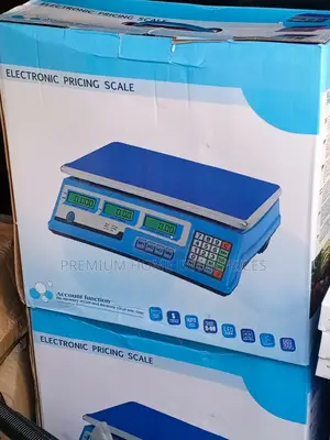 Electronic Pricing Measuring Weighing Scale 40kg
