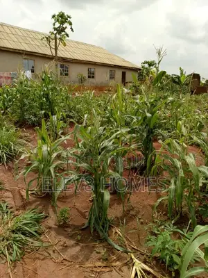 Half Plot of Land for Sale