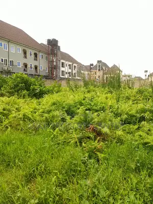 Two Plots of Land for Sale in Ago Okota