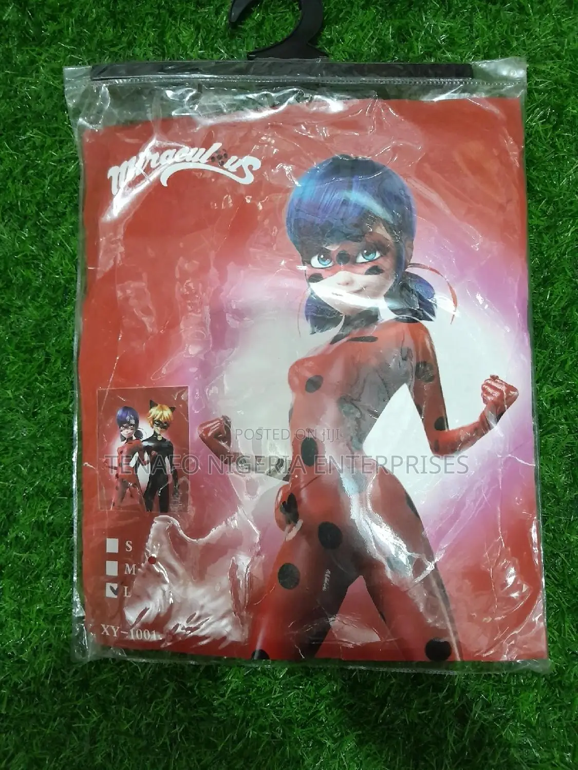 Lady Bug Costume