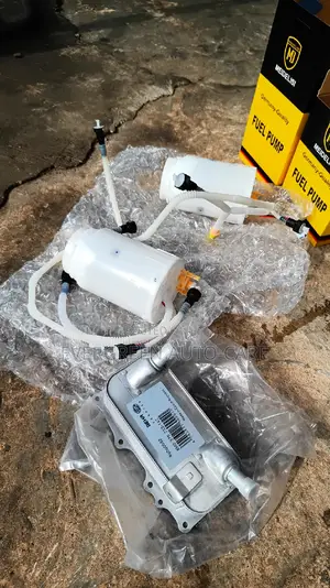 Fuel Pump Touareg Q7 and PORSCHE Cayenne