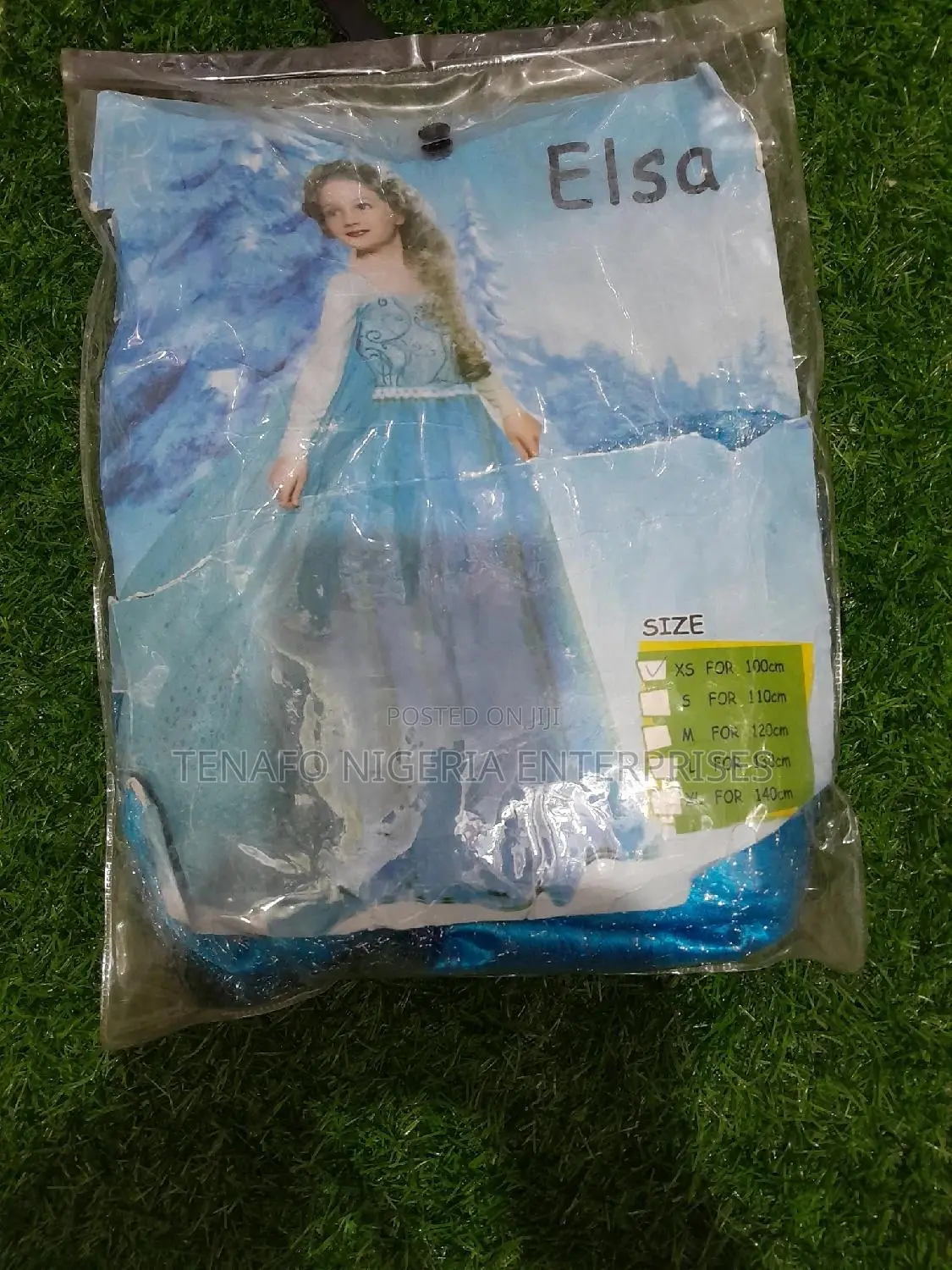 Elsa Costume