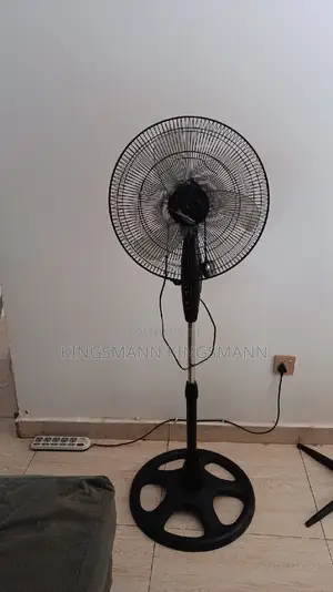 Binatone Fan