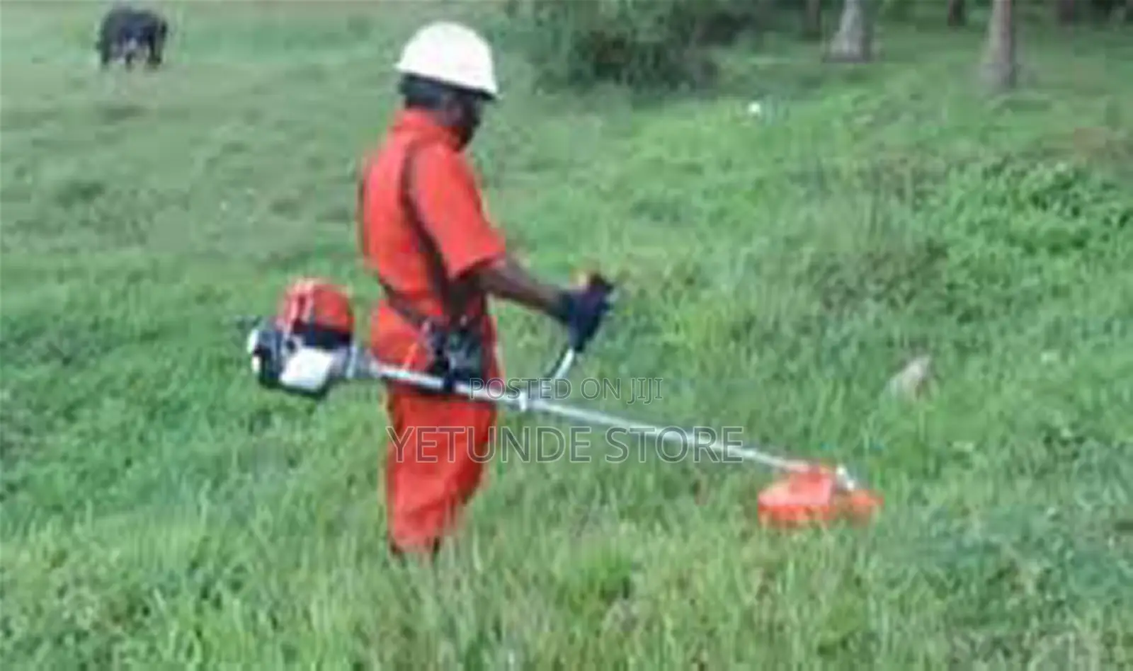 Rice Harvester Grass Cutter/ Bush (Weed) Clearer -Backable