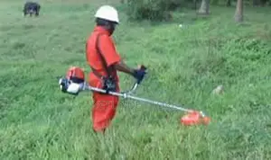 Rice Harvester Grass Cutter/ Bush (Weed) Clearer -Backable