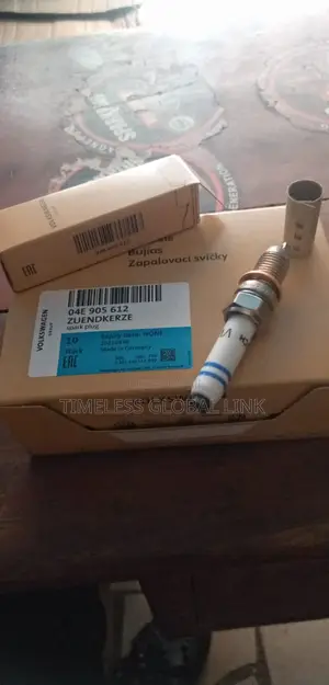 Engine Plugs
