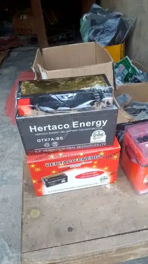 Hertaco Battery