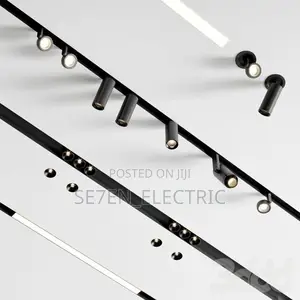 Magnetic Track Profile Light