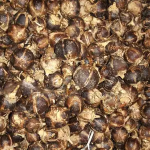 Sudan Fresh Gorontula Fruits