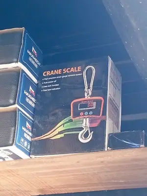 Crane Hanging Scale 500kg