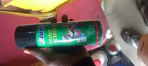 Paint Remover
