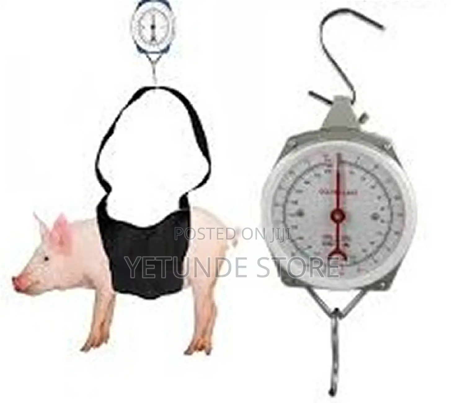Pig Crane Digital Scale - 5 Tons + 500 Gram