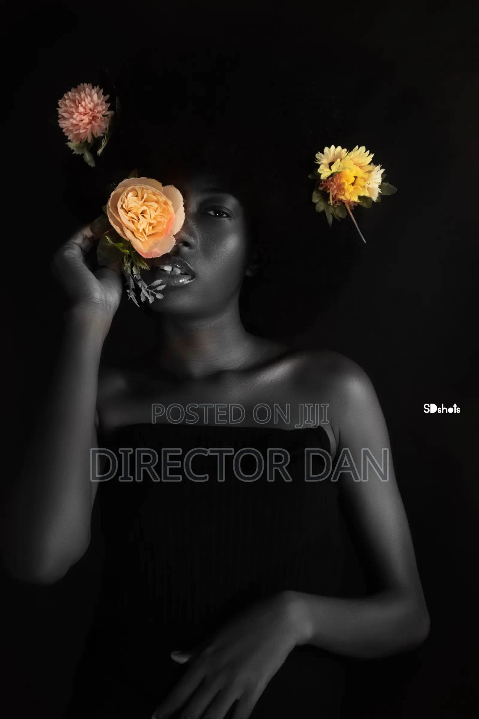 Photographer, High End Retoucher