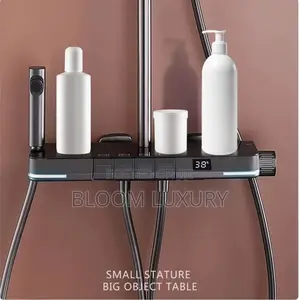 Thermostatic Digital Display Shower