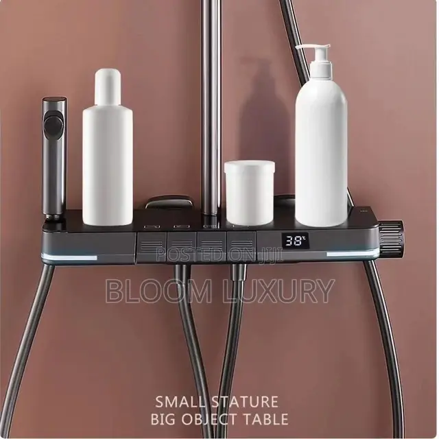 Thermostatic Digital Display Shower