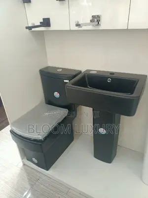 Matt Black Executive Water Closet 