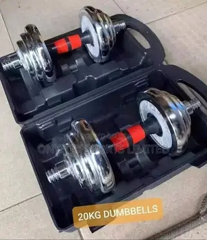 20kg Chrome Dumbell