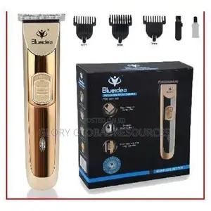 Professioner Blueidea Rechargeable Hair Trimmer