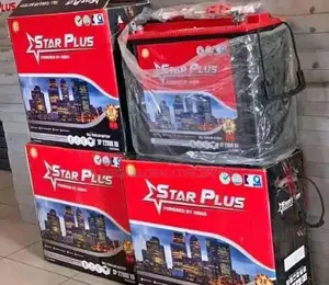 Star Plus Tubular Battery