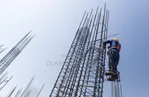 Standard Building Material TMT and Local Rods