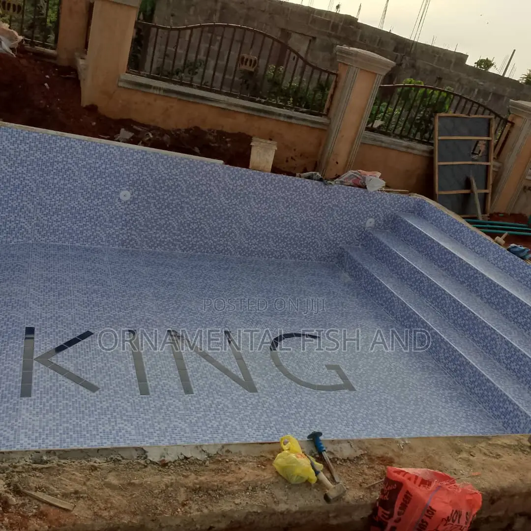 Swimming Pool Construction