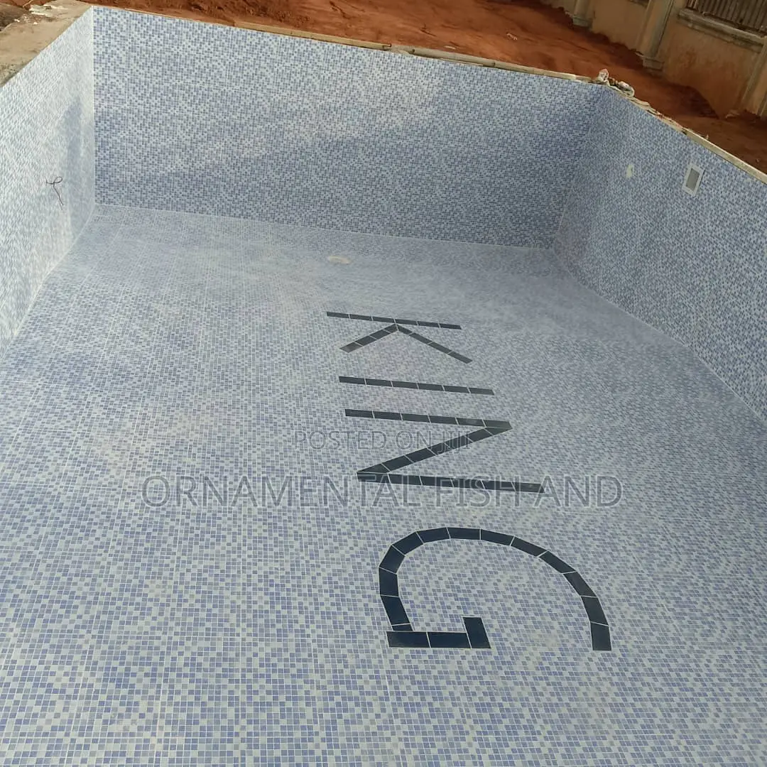Swimming Pool Construction