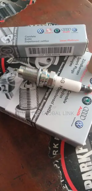 Plug Original NGK for Tsi/Tfsi/3.0 V6 Available in Stock