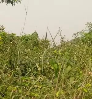 A Well Located and Great Area Selling at Magodo