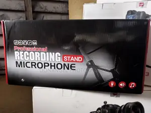 Professional Recording Microphone