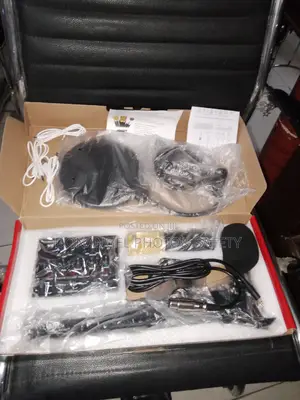 Professional Recording Microphone
