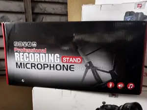 Professional Recording Microphone