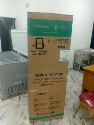 Hisense 29dca 225l Bottom Freezer (Silver Color)