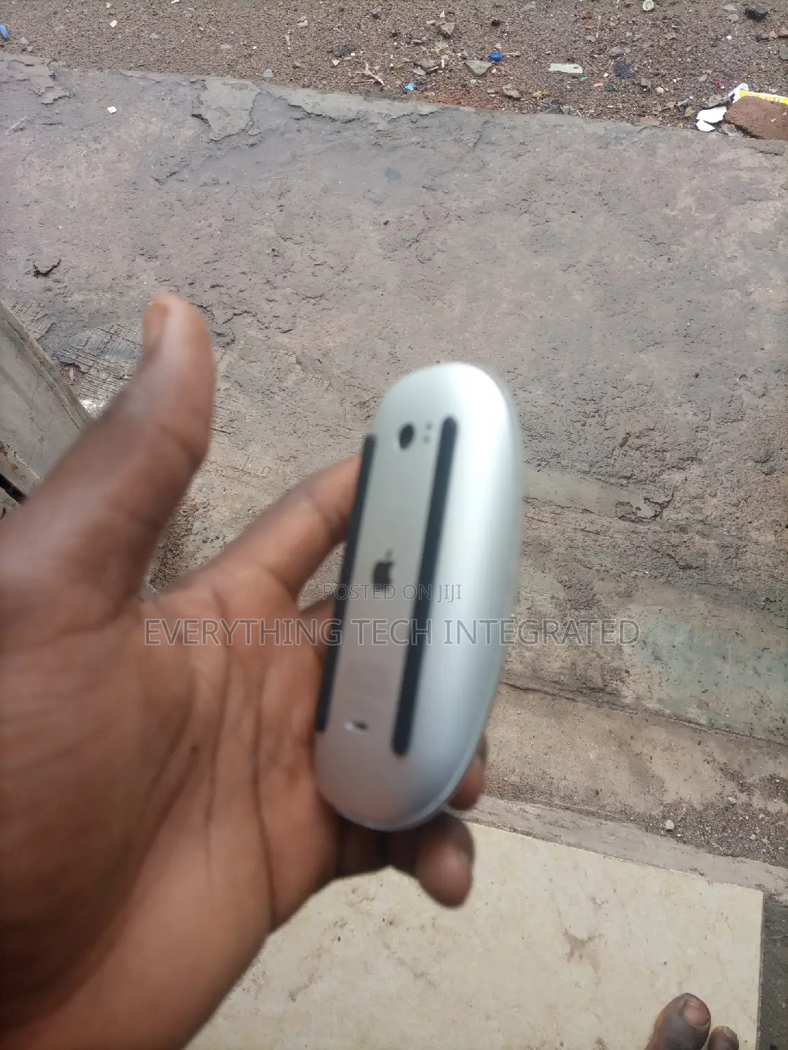 Apple Magic Mice