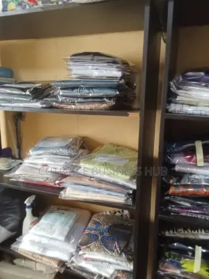 Professional Laundry Drycleaning Service