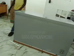 Low Energy Consumption Chest Freezer Side-by-Side