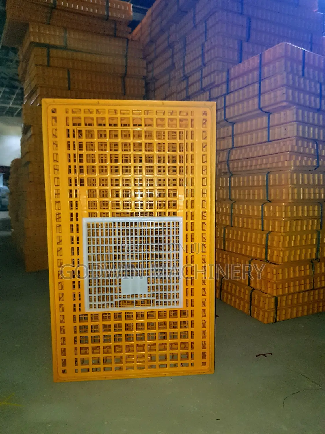 Essential Birds Transfer Crate