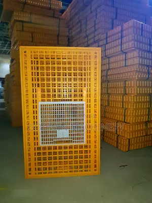 Essential Birds Transfer Crate