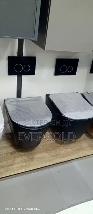 England Black Conceal Water Closet With Original Flushing