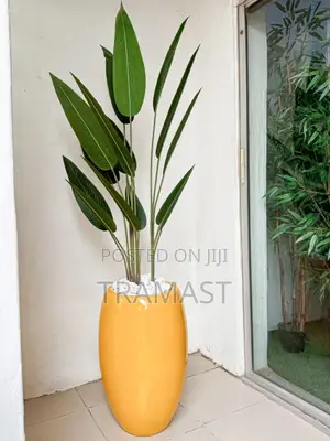 Artificial Banana Plant Potted With A Fiberglass Vase