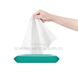 Antiseptic Alcohol Wipes