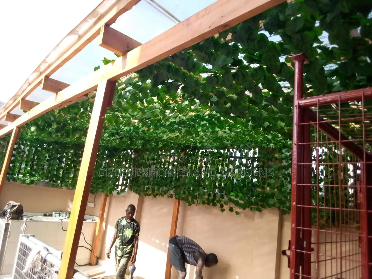 Hanging Vines