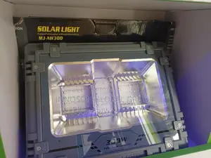 300w LED Flood Light