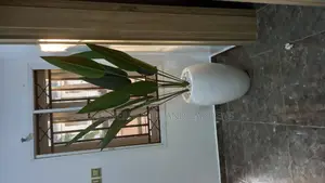 Fiberglass Pots