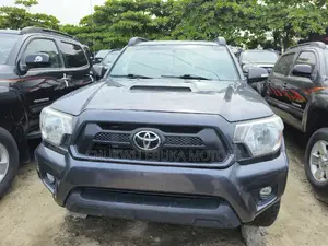 Toyota Tacoma 2015 Gray